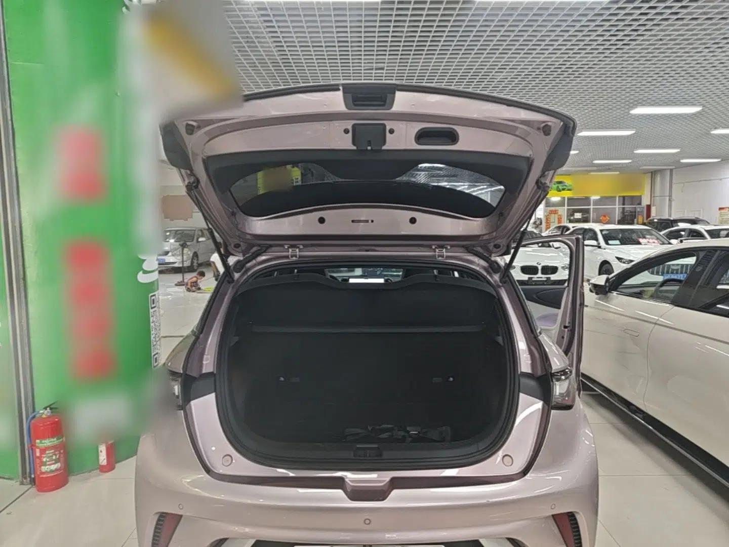 BYD Dolphin 2023 420 km Free Version — миниатюра 22