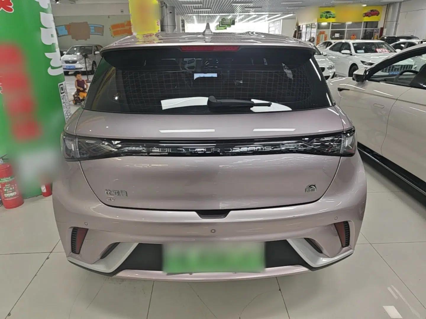BYD Dolphin 2023 420 km Free Version — миниатюра 5