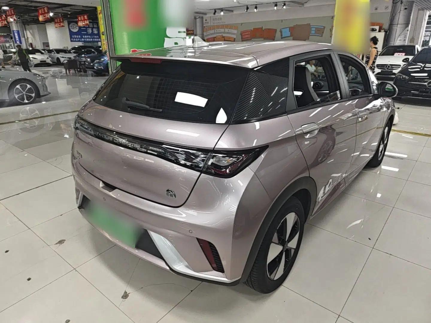 BYD Dolphin 2023 420 km Free Version — миниатюра 6