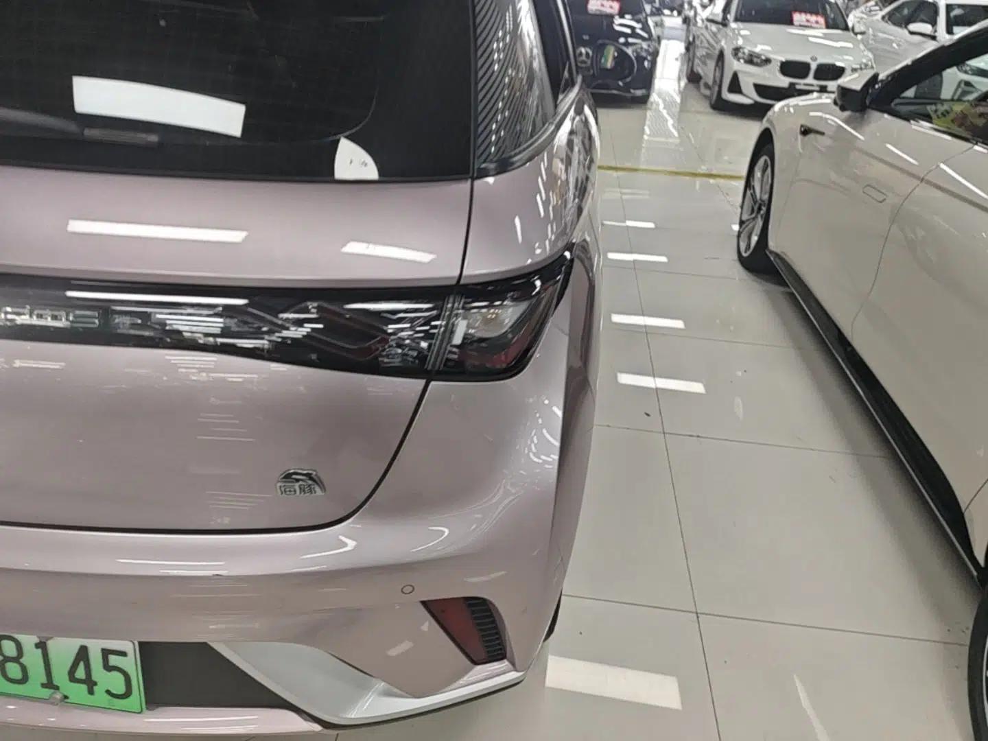 BYD Dolphin 2023 420 km Free Version — миниатюра 9