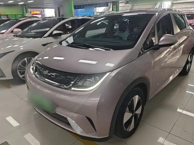 BYD Dolphin 2023 420 km Free Version