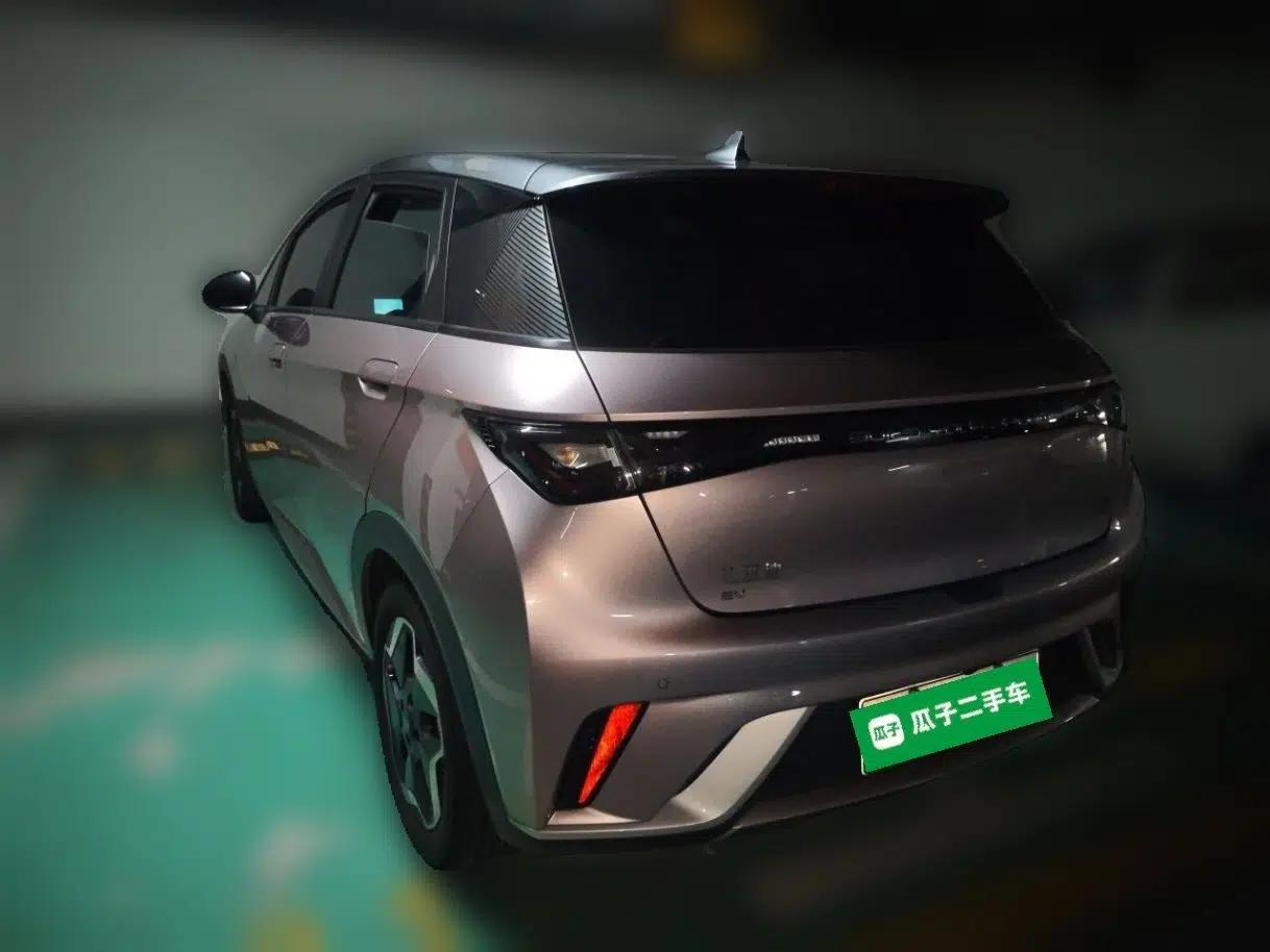 BYD Dolphin 2021 405 km Fashion Edition — миниатюра 4