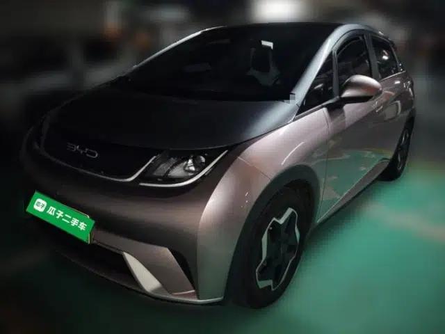 BYD Dolphin 2021 405 km Fashion Edition