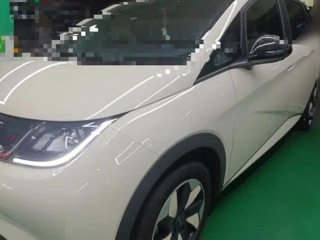 BYD Dolphin 2025 420km Free Edition