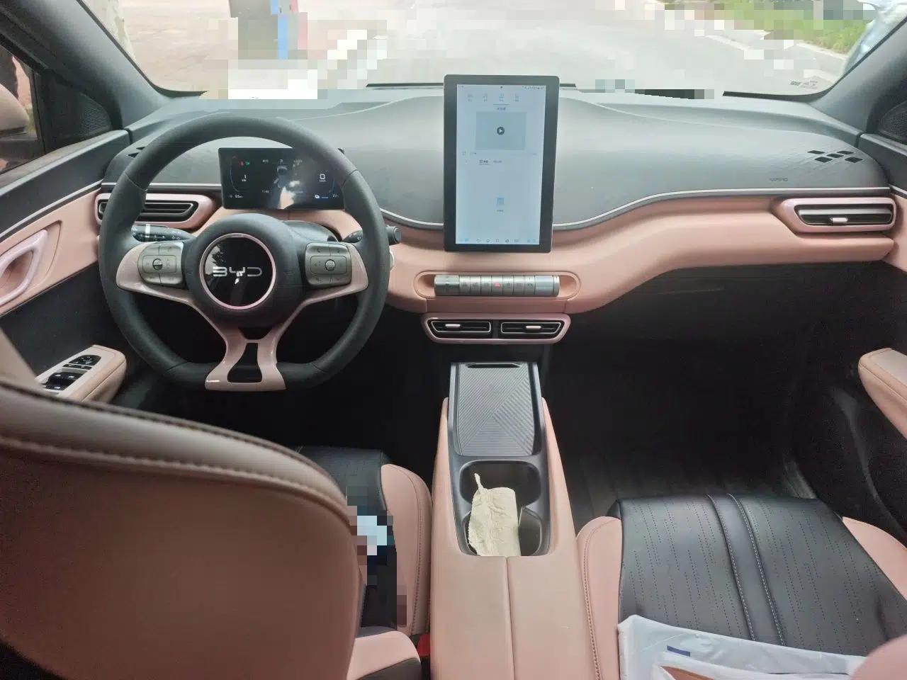 BYD Seagull 2025 305km Active Version — миниатюра 9