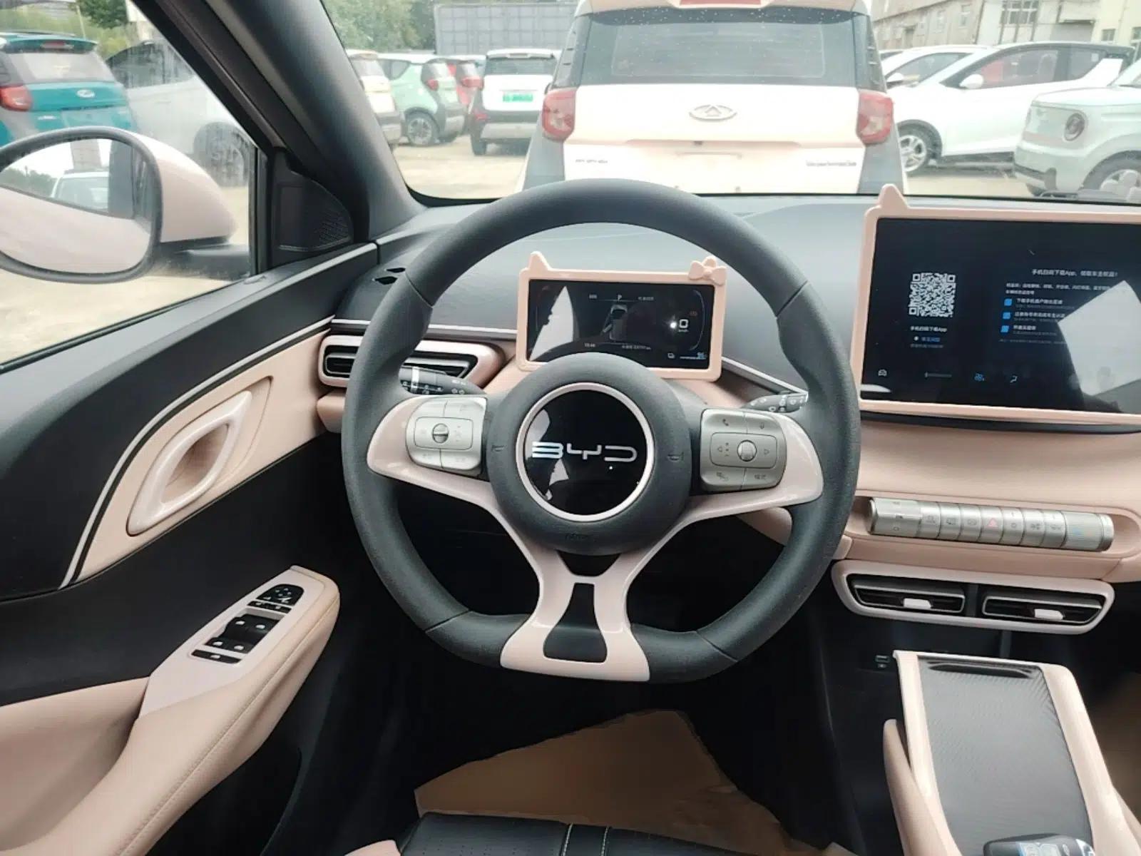 BYD Seagull 2023 Active Version — миниатюра 18