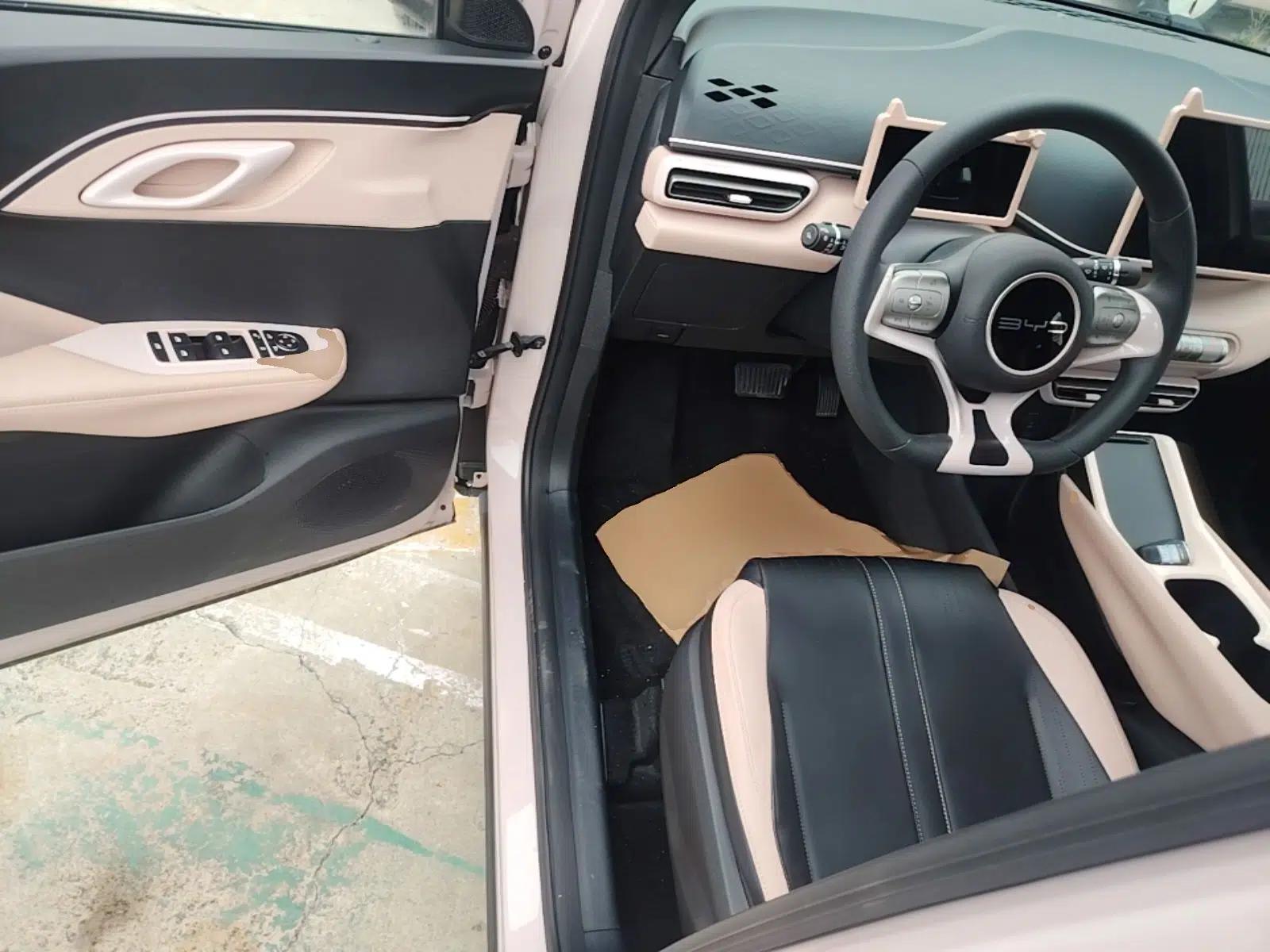 BYD Seagull 2023 Active Version — миниатюра 23