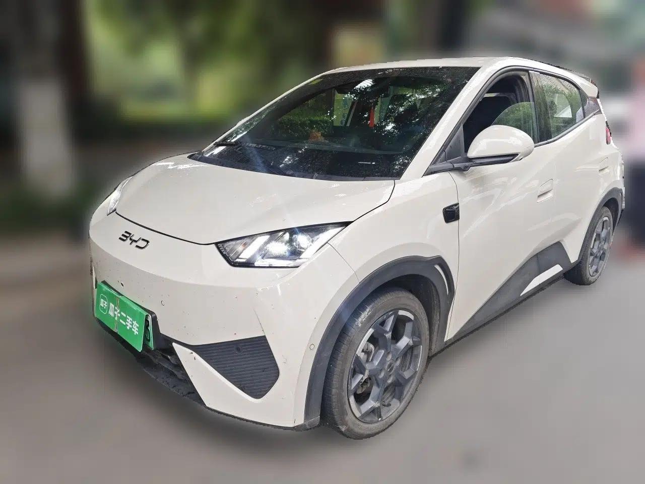 BYD Seagull 2025 Smart Drive Version 305 km Freedom Edition — миниатюра 1
