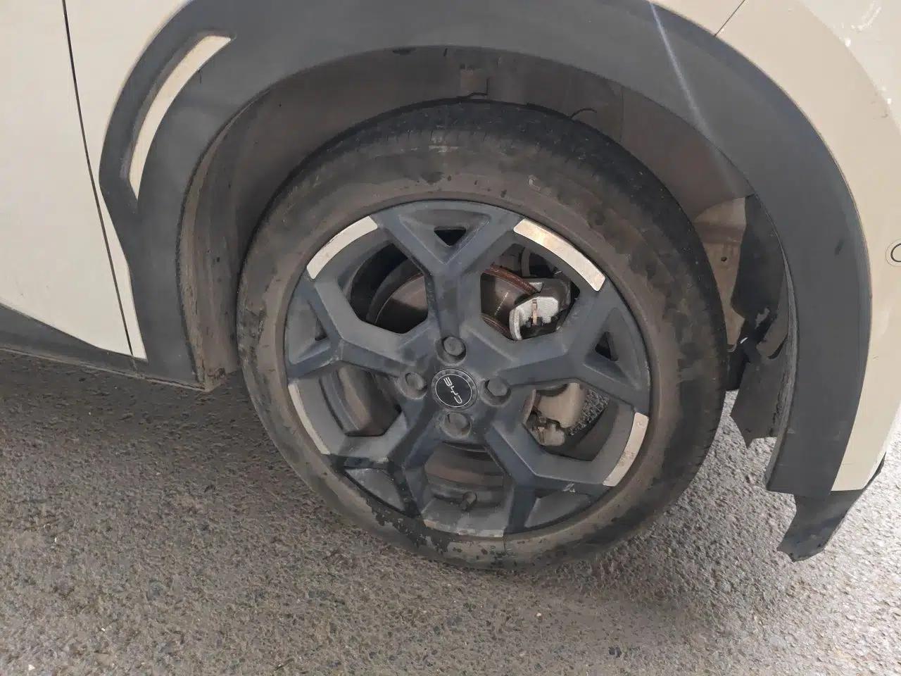 BYD Seagull 2025 Smart Drive Version 305 km Freedom Edition — миниатюра 8