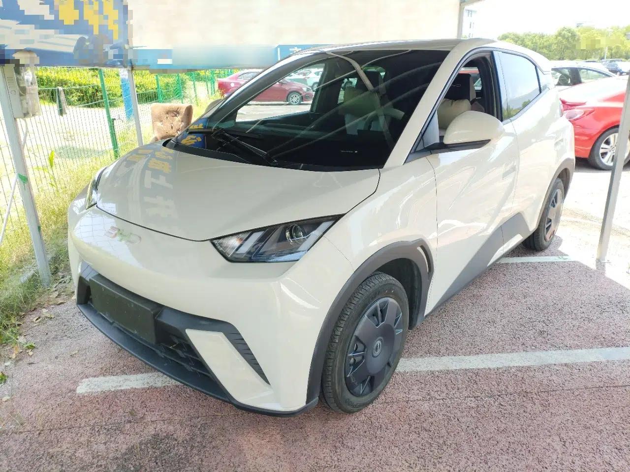BYD Seagull 2024 Honor Edition 305km Dynamic Version — миниатюра 1