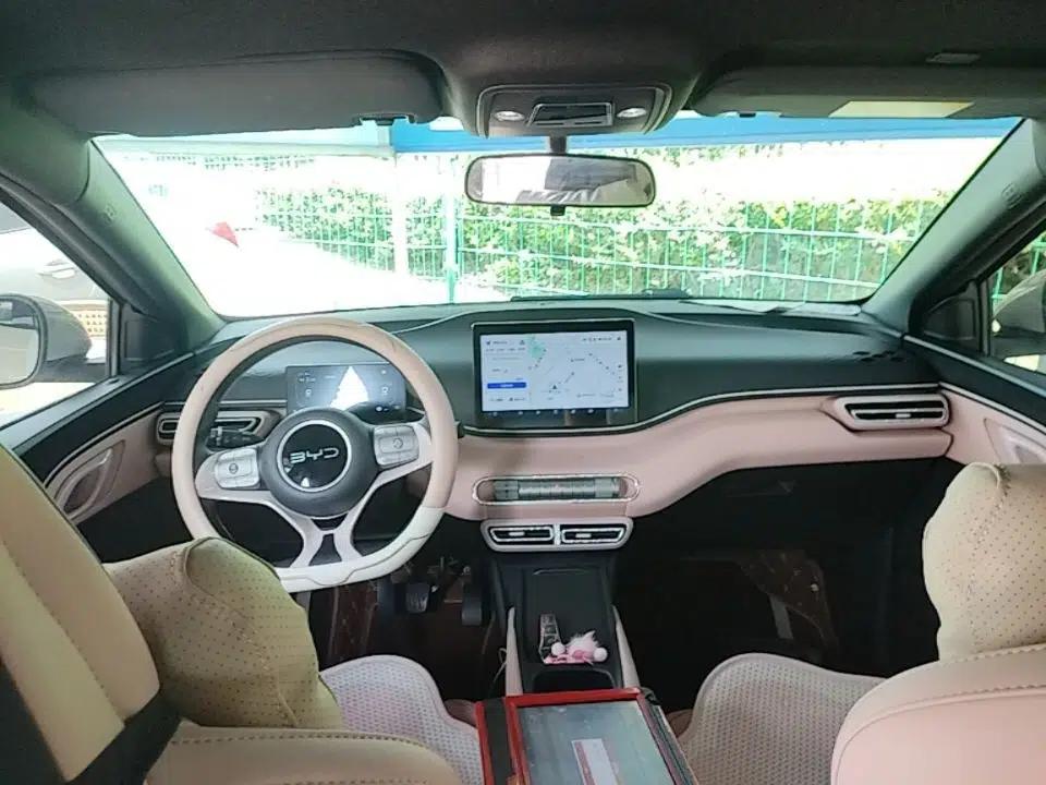 BYD Seagull 2024 Honor Edition 305km Dynamic Version — миниатюра 17