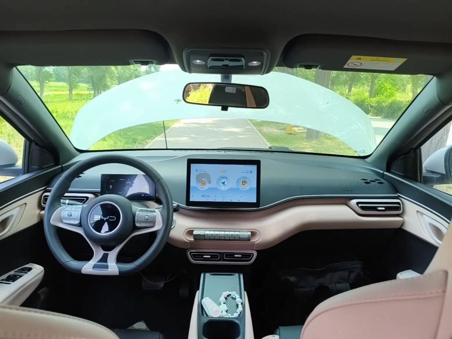 BYD Seagull 2024 Honor Edition 305km Dynamic Version — миниатюра 17