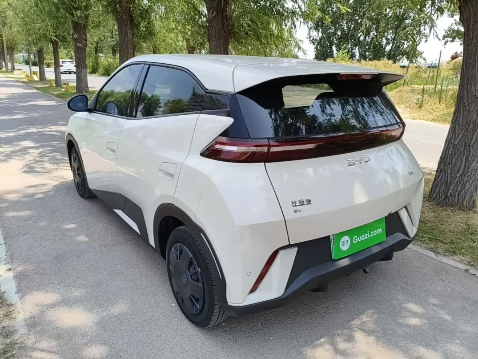 BYD Seagull 2024 Honor Edition 305km Dynamic Version — миниатюра 4