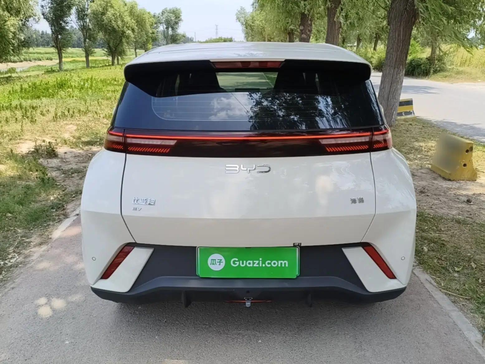 BYD Seagull 2024 Honor Edition 305km Dynamic Version — миниатюра 5