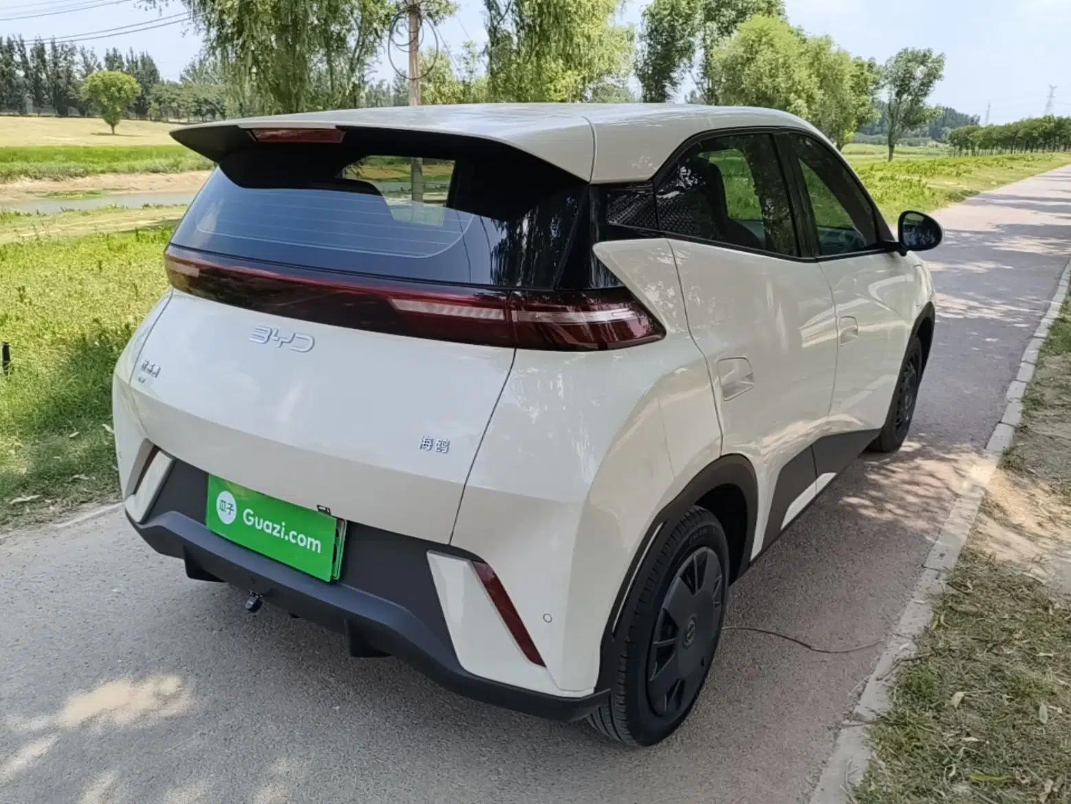 BYD Seagull 2024 Honor Edition 305km Dynamic Version — миниатюра 6