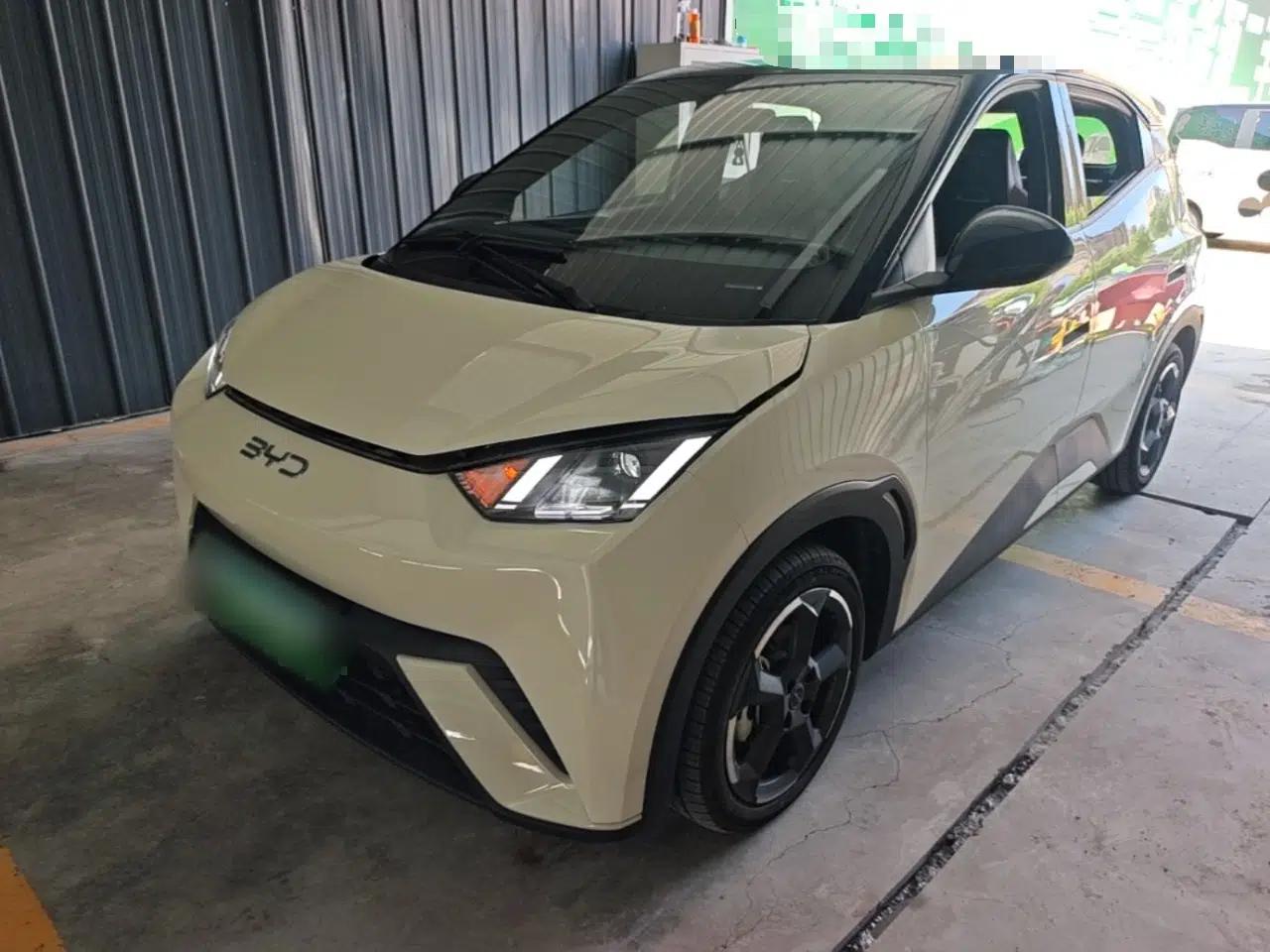 BYD Seagull 2024 Honor Edition 305km Freedom Version — миниатюра 1