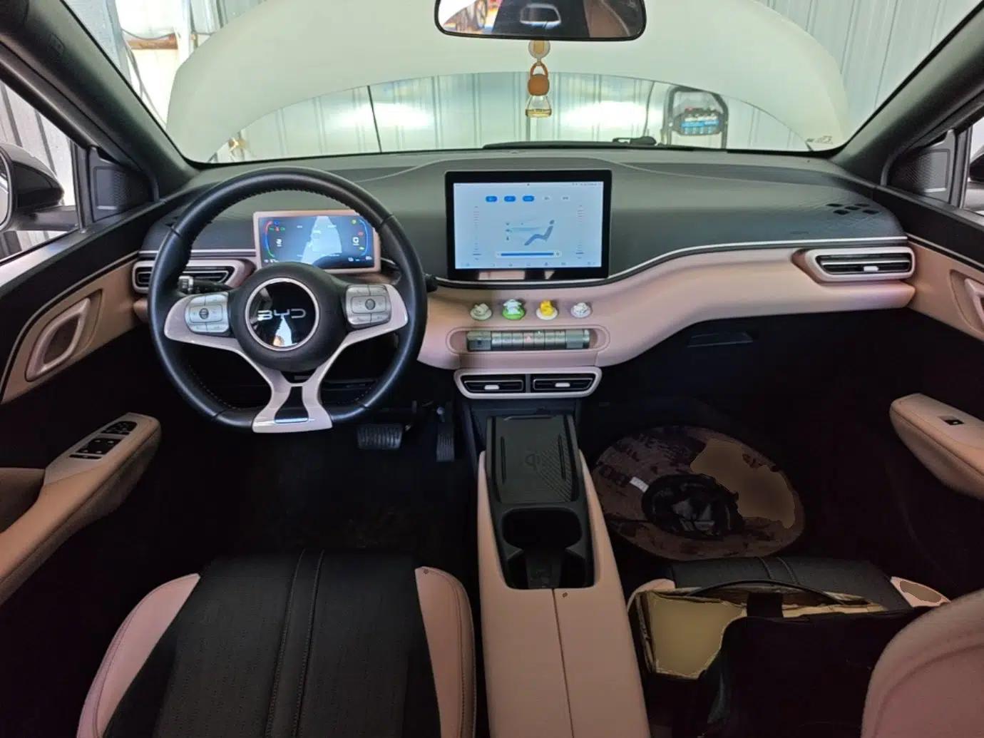 BYD Seagull 2024 Honor Edition 305km Freedom Version — миниатюра 12