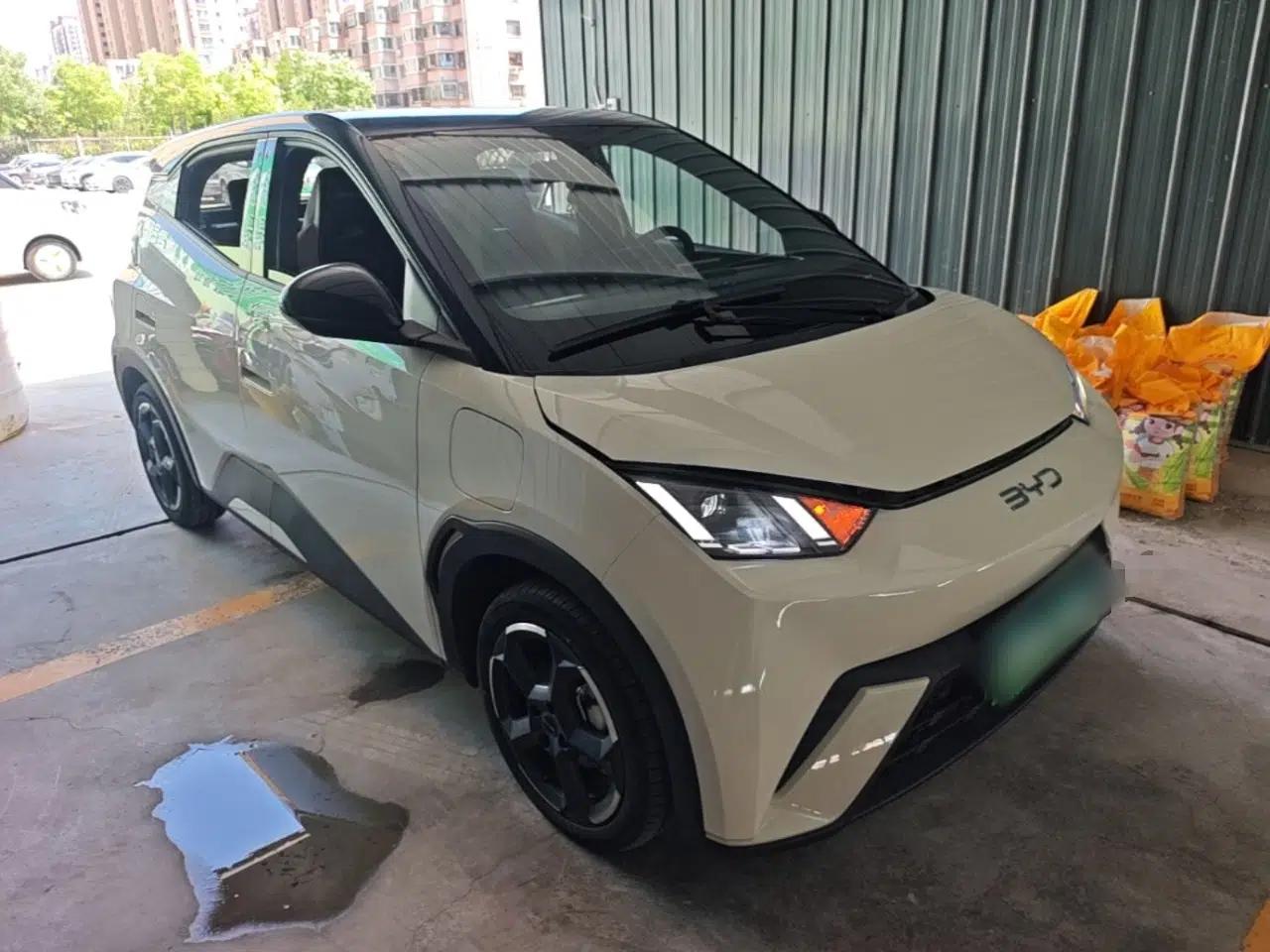 BYD Seagull 2024 Honor Edition 305km Freedom Version — миниатюра 3
