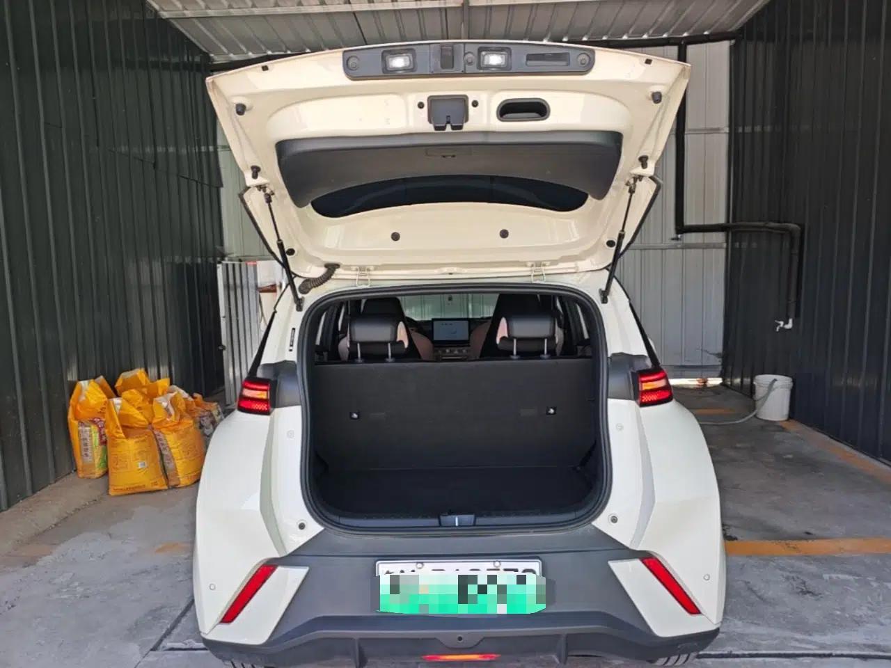 BYD Seagull 2024 Honor Edition 305km Freedom Version — миниатюра 22