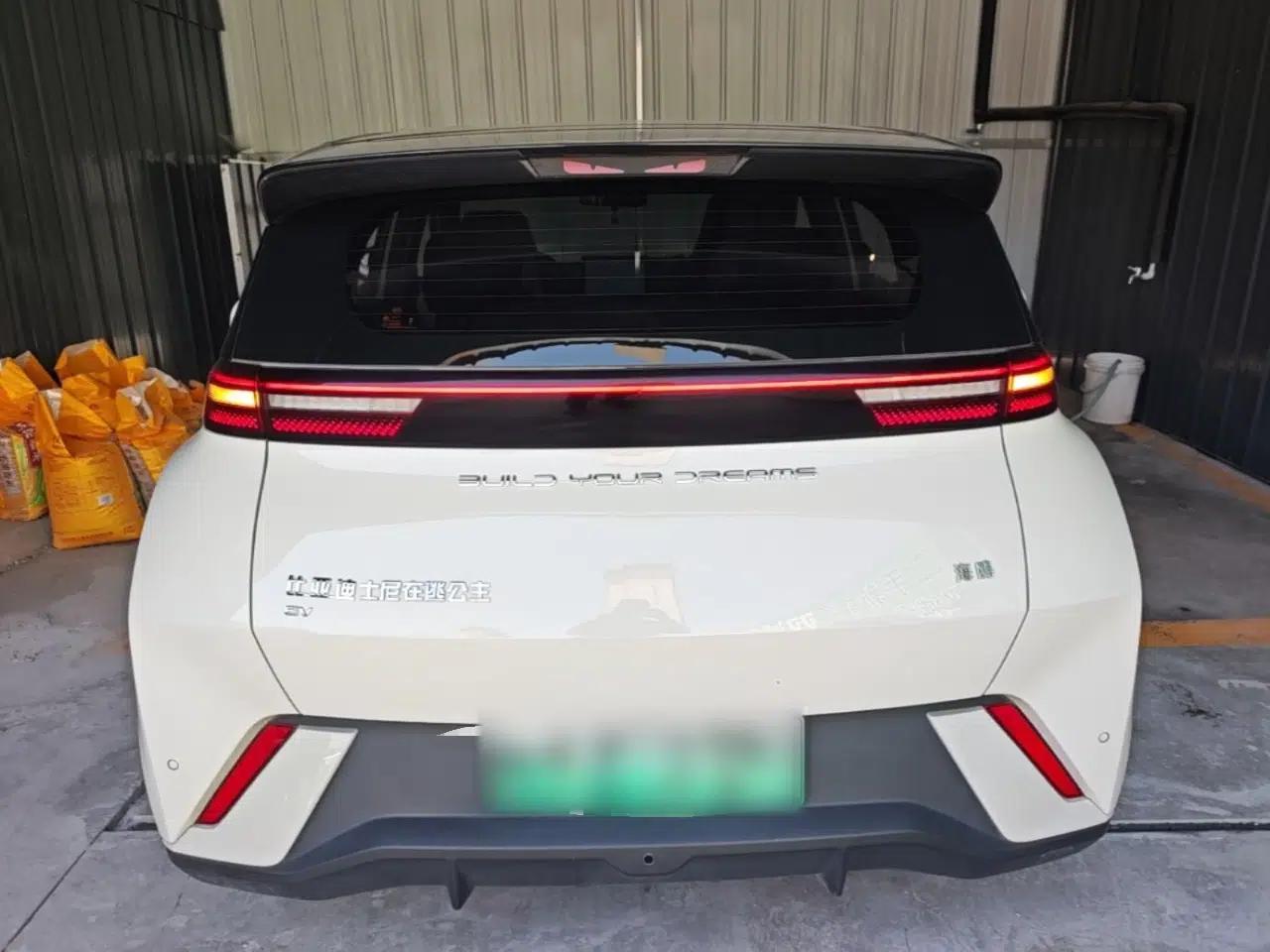 BYD Seagull 2024 Honor Edition 305km Freedom Version — миниатюра 5