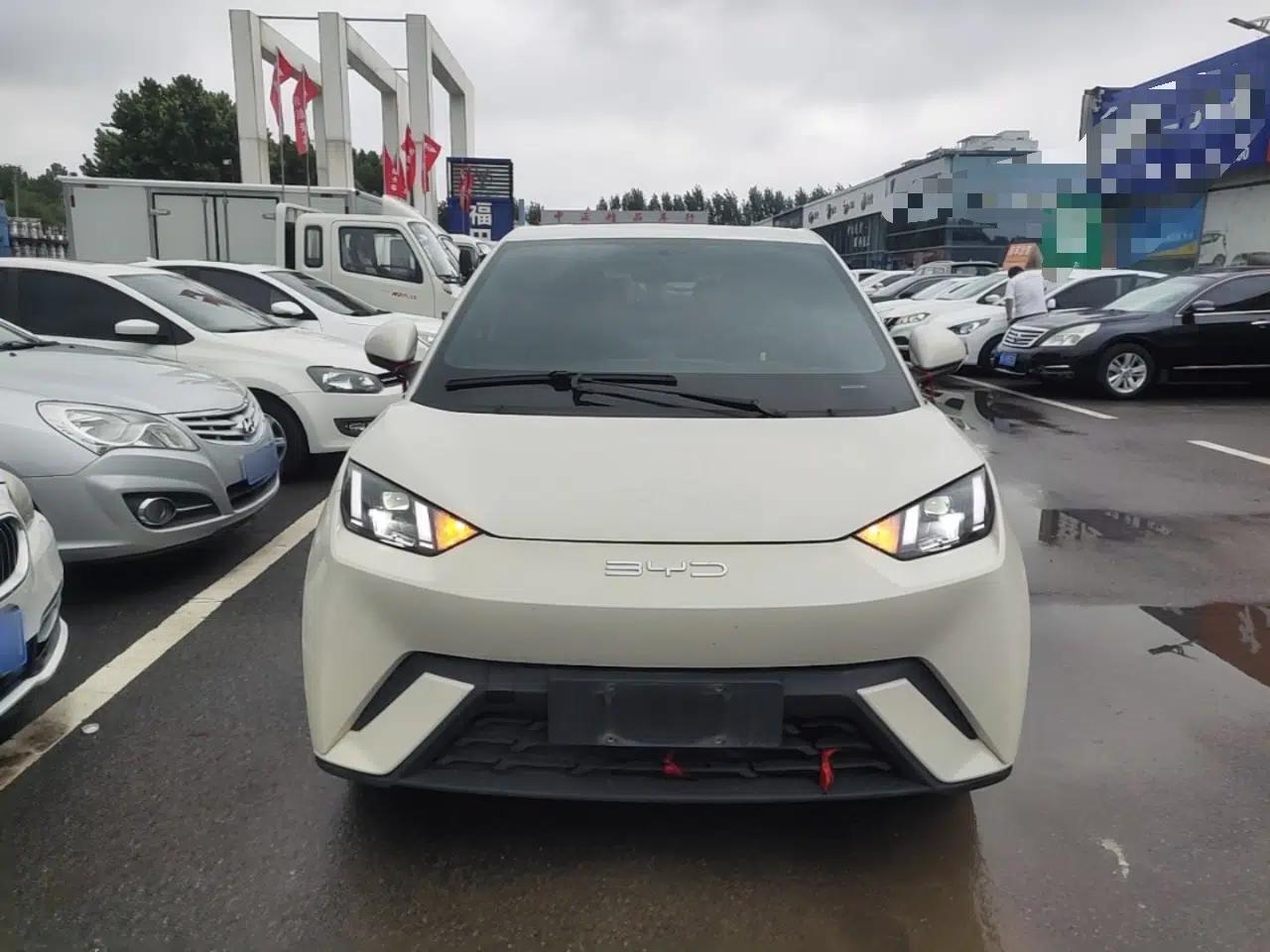 BYD Seagull 2024 Honor Edition 305km Freedom Version — миниатюра 2