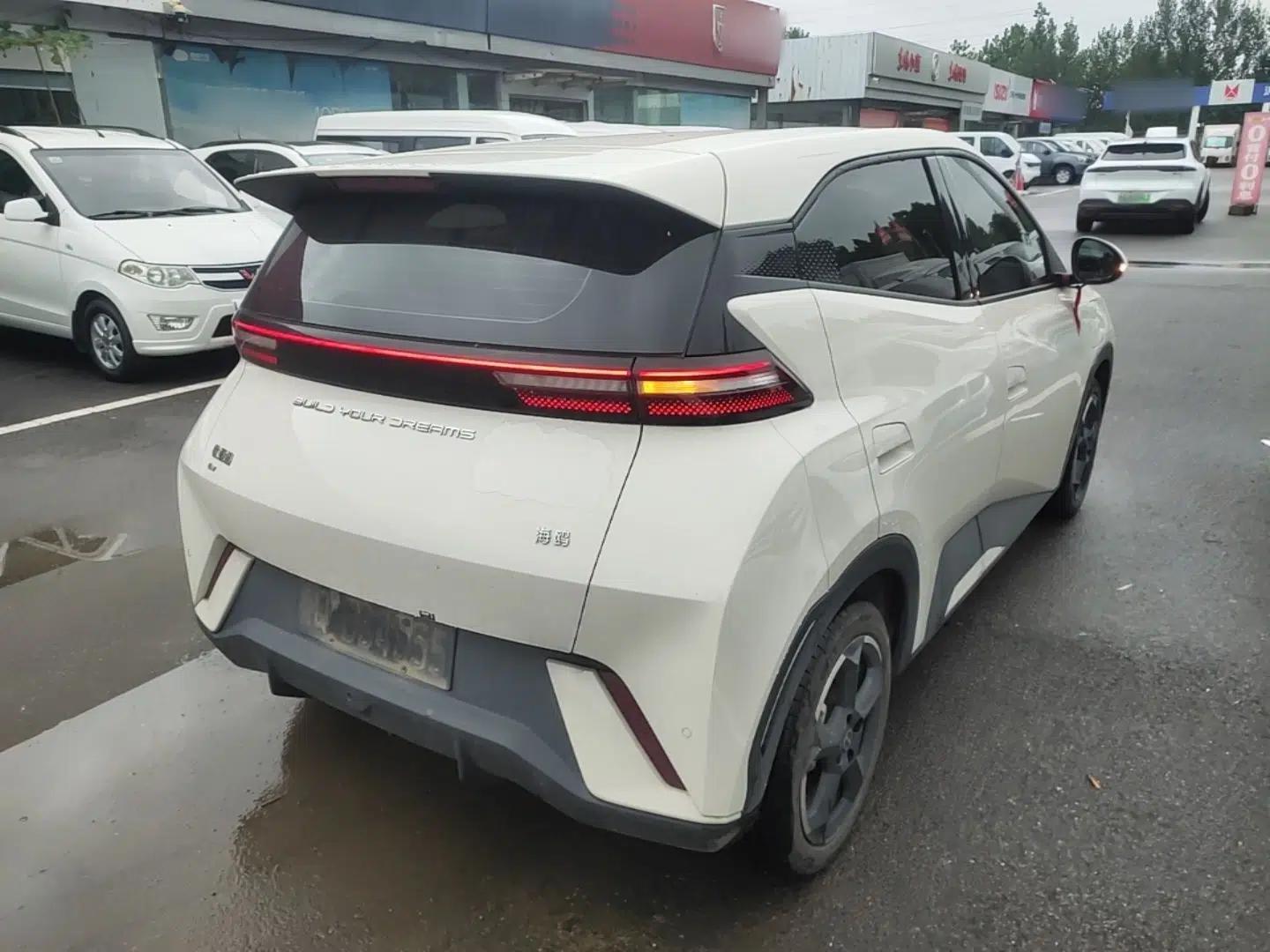 BYD Seagull 2024 Honor Edition 305km Freedom Version — миниатюра 6