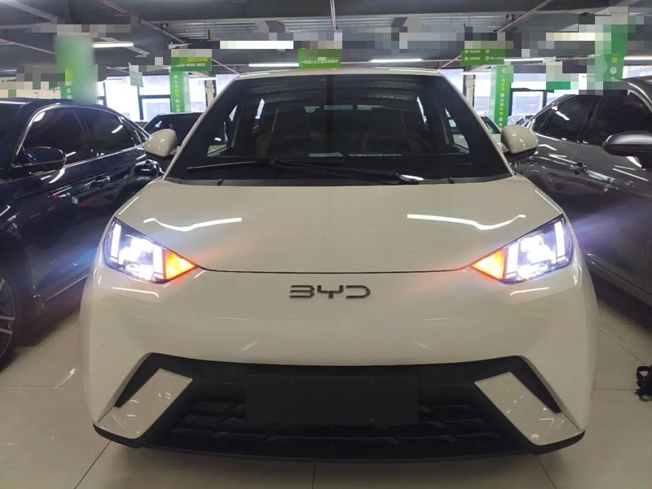 BYD Seagull 2025 305 km Free Version — миниатюра 2