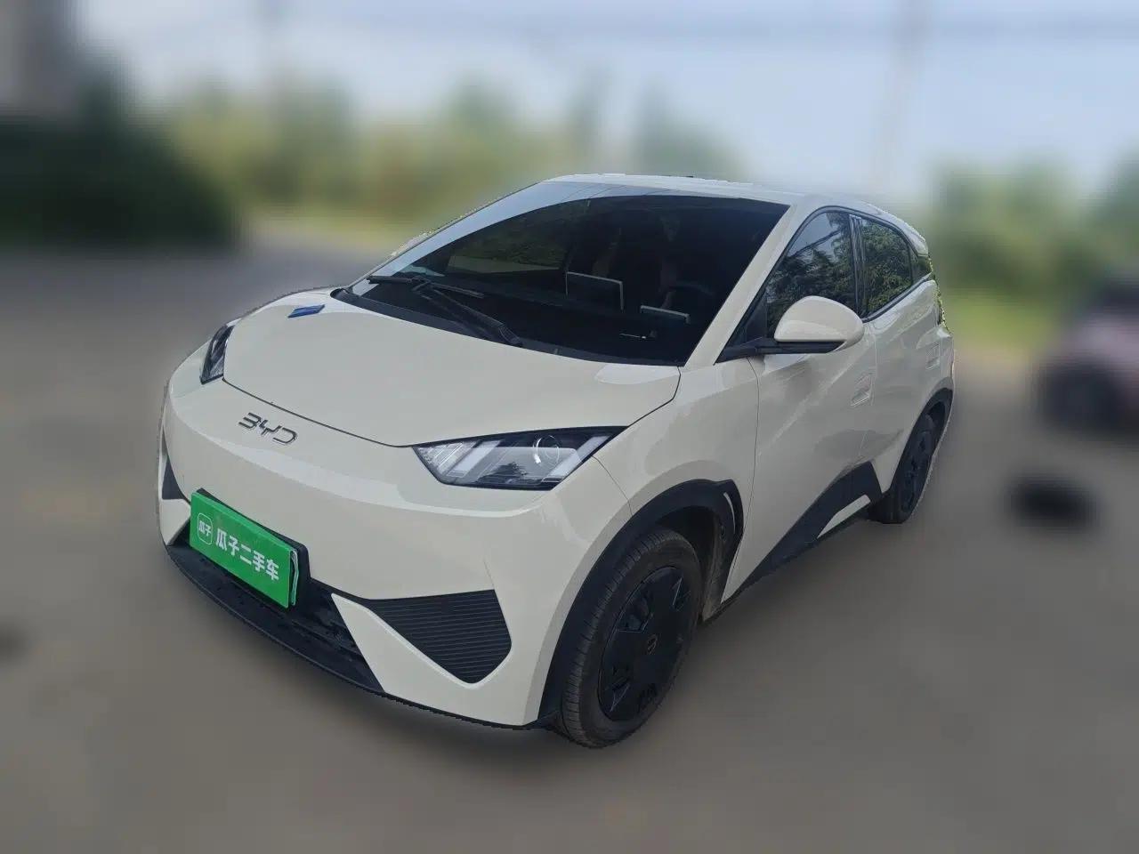 BYD Seagull 2025 Intelligent Driving Version 305 km Dynamic Edition — миниатюра 1