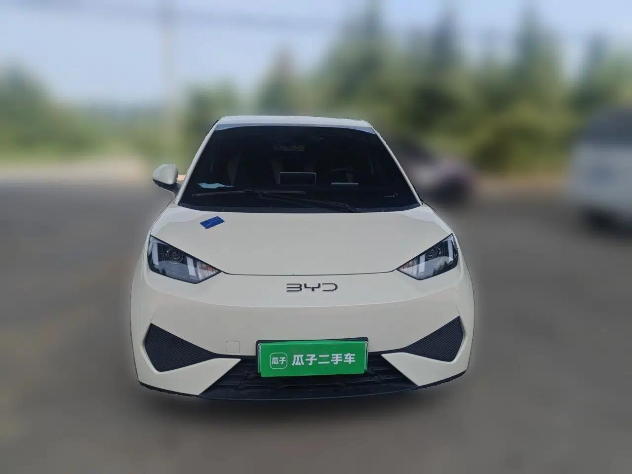 BYD Seagull 2025 Intelligent Driving Version 305 km Dynamic Edition — миниатюра 2