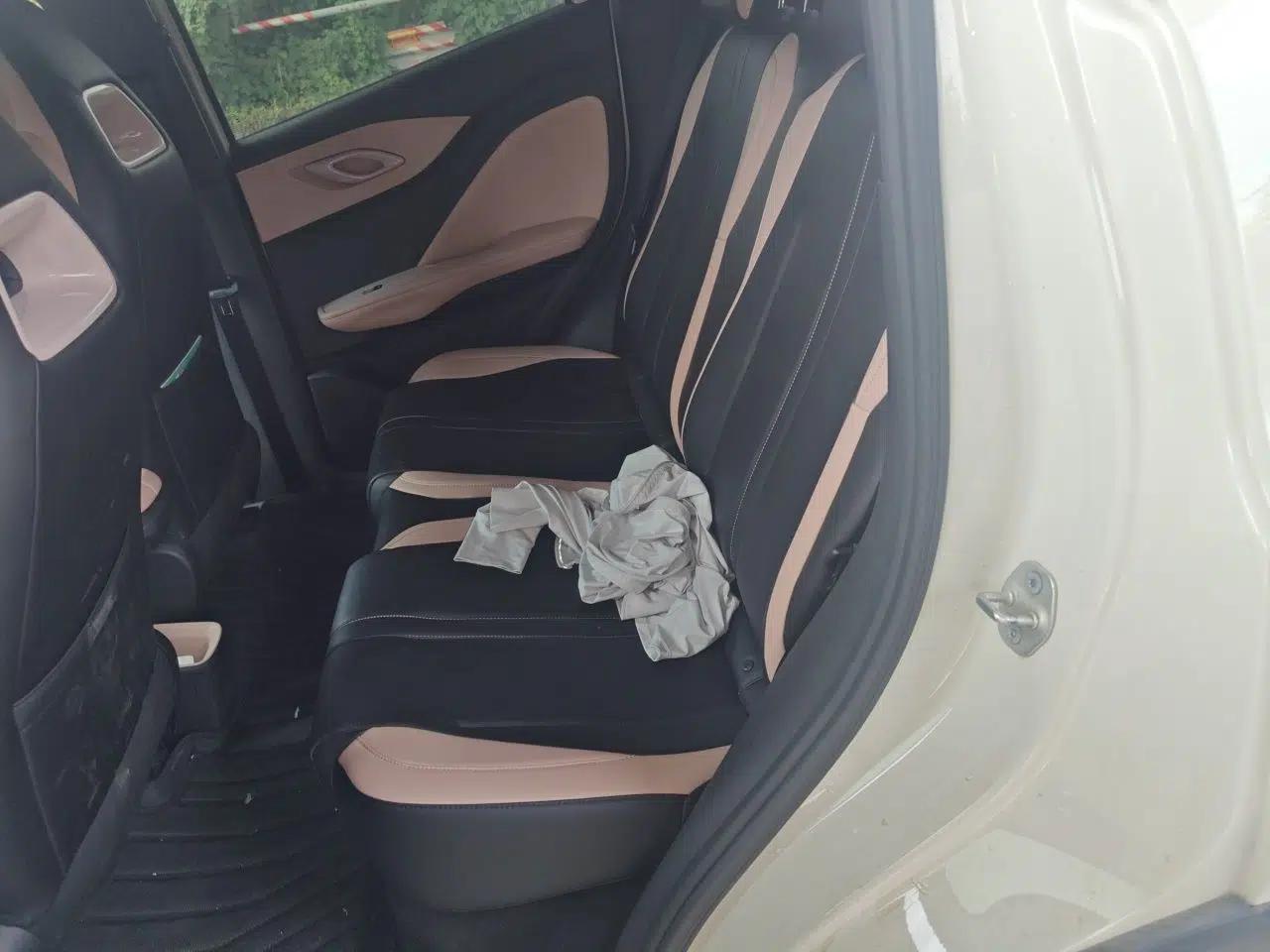 BYD Seagull 2025 Intelligent Driving Version 305 km Dynamic Edition — миниатюра 14
