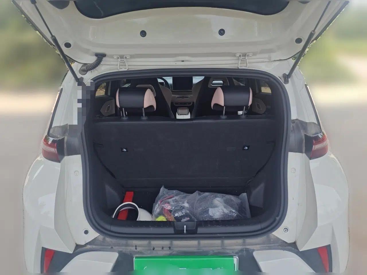 BYD Seagull 2025 Intelligent Driving Version 305 km Dynamic Edition — миниатюра 16