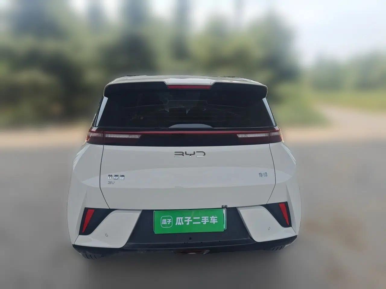 BYD Seagull 2025 Intelligent Driving Version 305 km Dynamic Edition — миниатюра 3