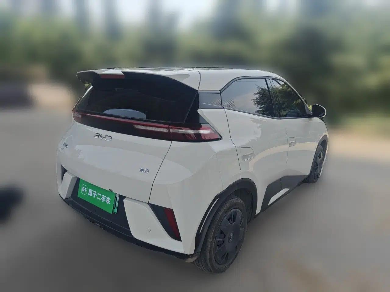BYD Seagull 2025 Intelligent Driving Version 305 km Dynamic Edition — миниатюра 4