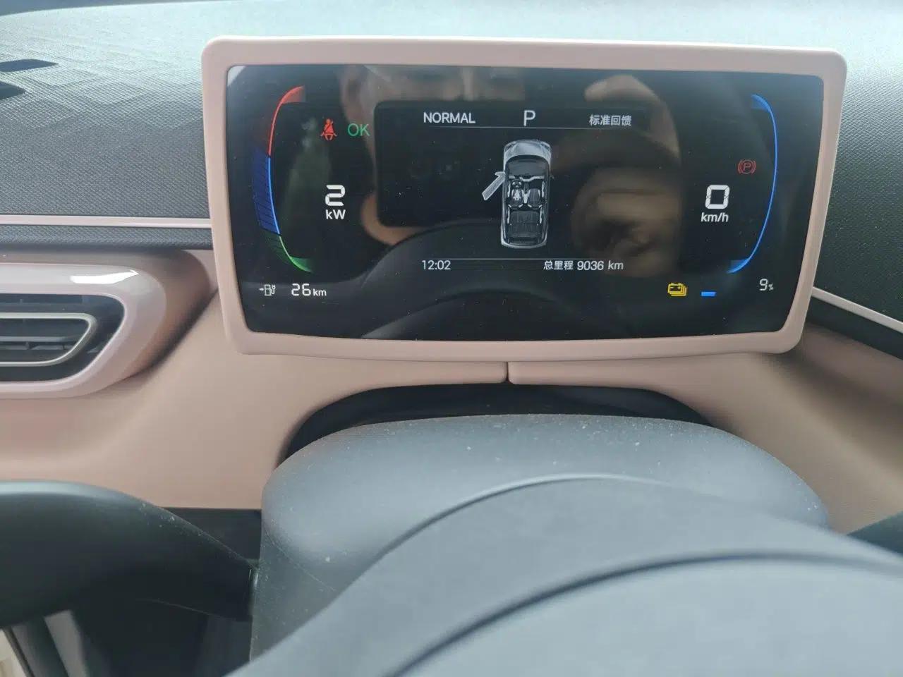 BYD Seagull 2025 Intelligent Driving Version 305 km Dynamic Edition — миниатюра 9