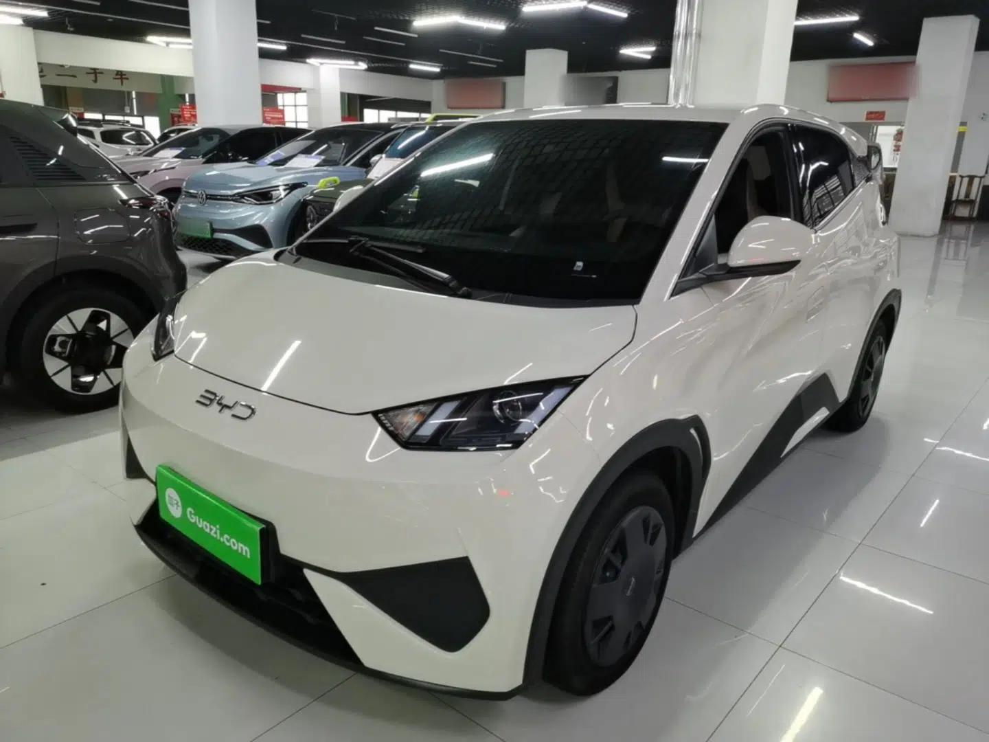 BYD Seagull 2025 Intelligent Driving Version 305 km Dynamic Edition — миниатюра 1