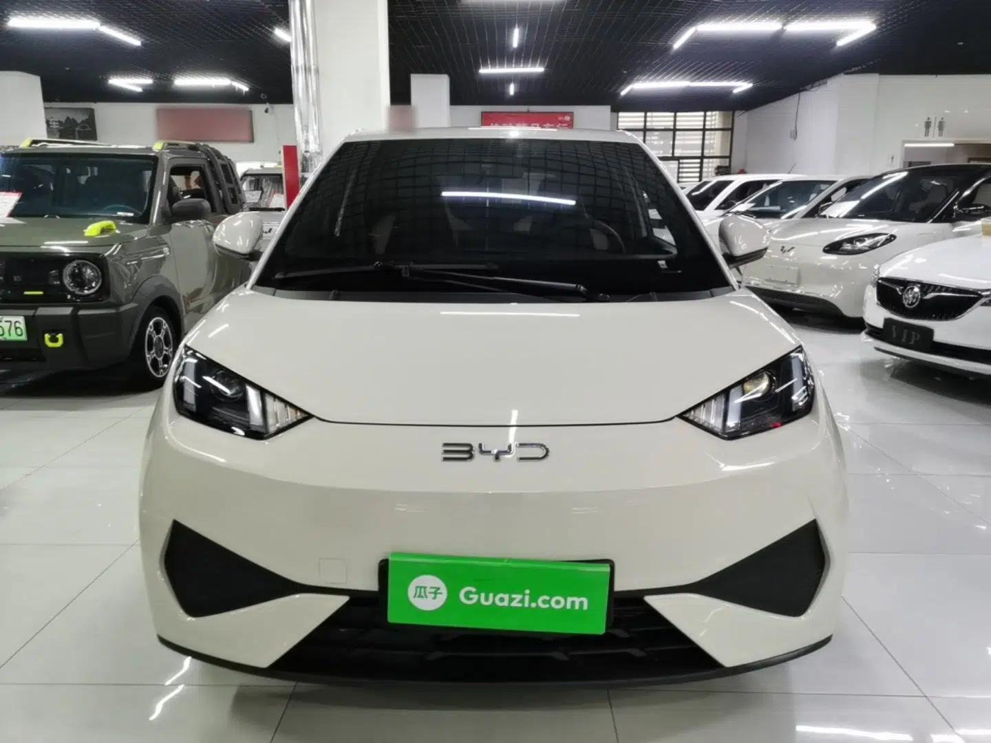 BYD Seagull 2025 Intelligent Driving Version 305 km Dynamic Edition — миниатюра 2