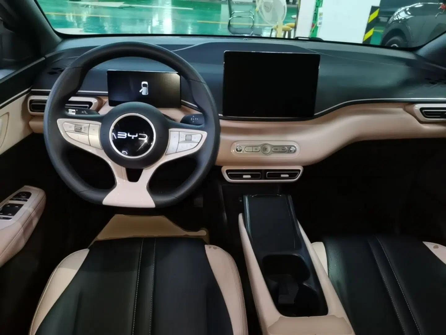 BYD Seagull 2025 Intelligent Driving Version 305 km Dynamic Edition — миниатюра 12
