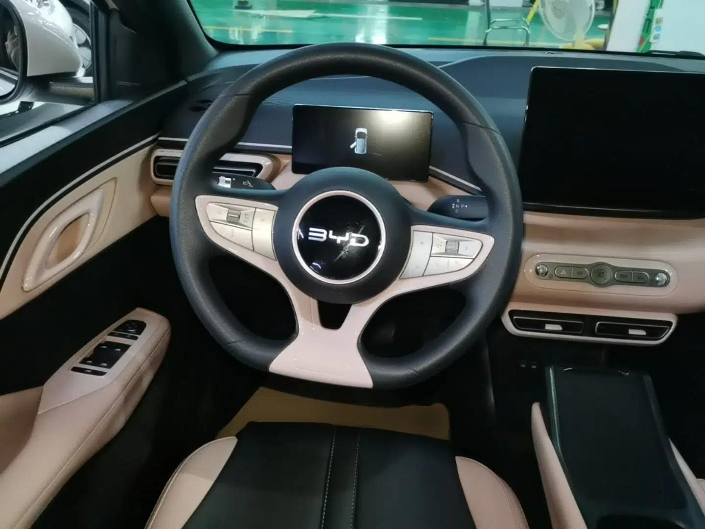 BYD Seagull 2025 Intelligent Driving Version 305 km Dynamic Edition — миниатюра 13