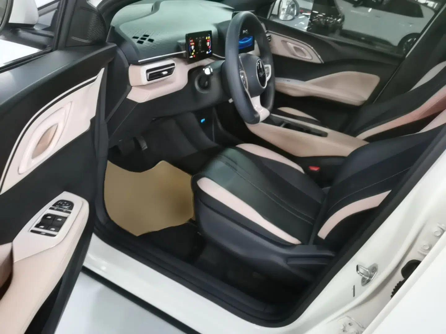 BYD Seagull 2025 Intelligent Driving Version 305 km Dynamic Edition — миниатюра 18