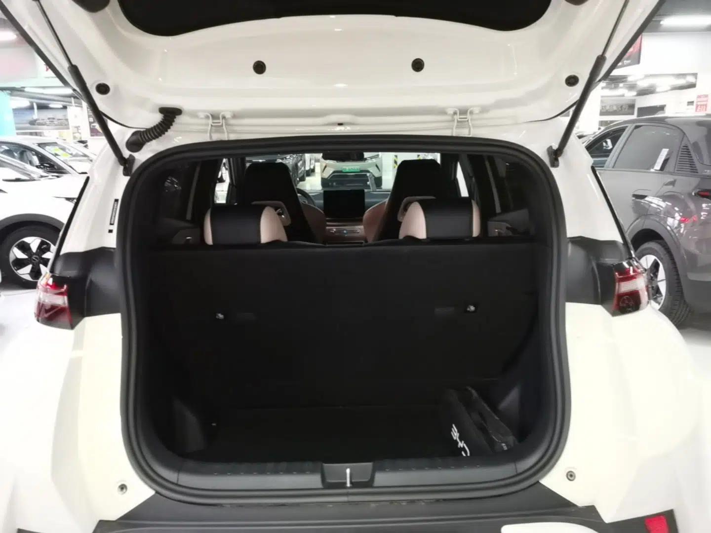 BYD Seagull 2025 Intelligent Driving Version 305 km Dynamic Edition — миниатюра 22