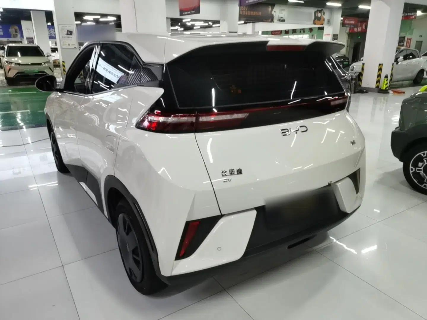 BYD Seagull 2025 Intelligent Driving Version 305 km Dynamic Edition — миниатюра 4