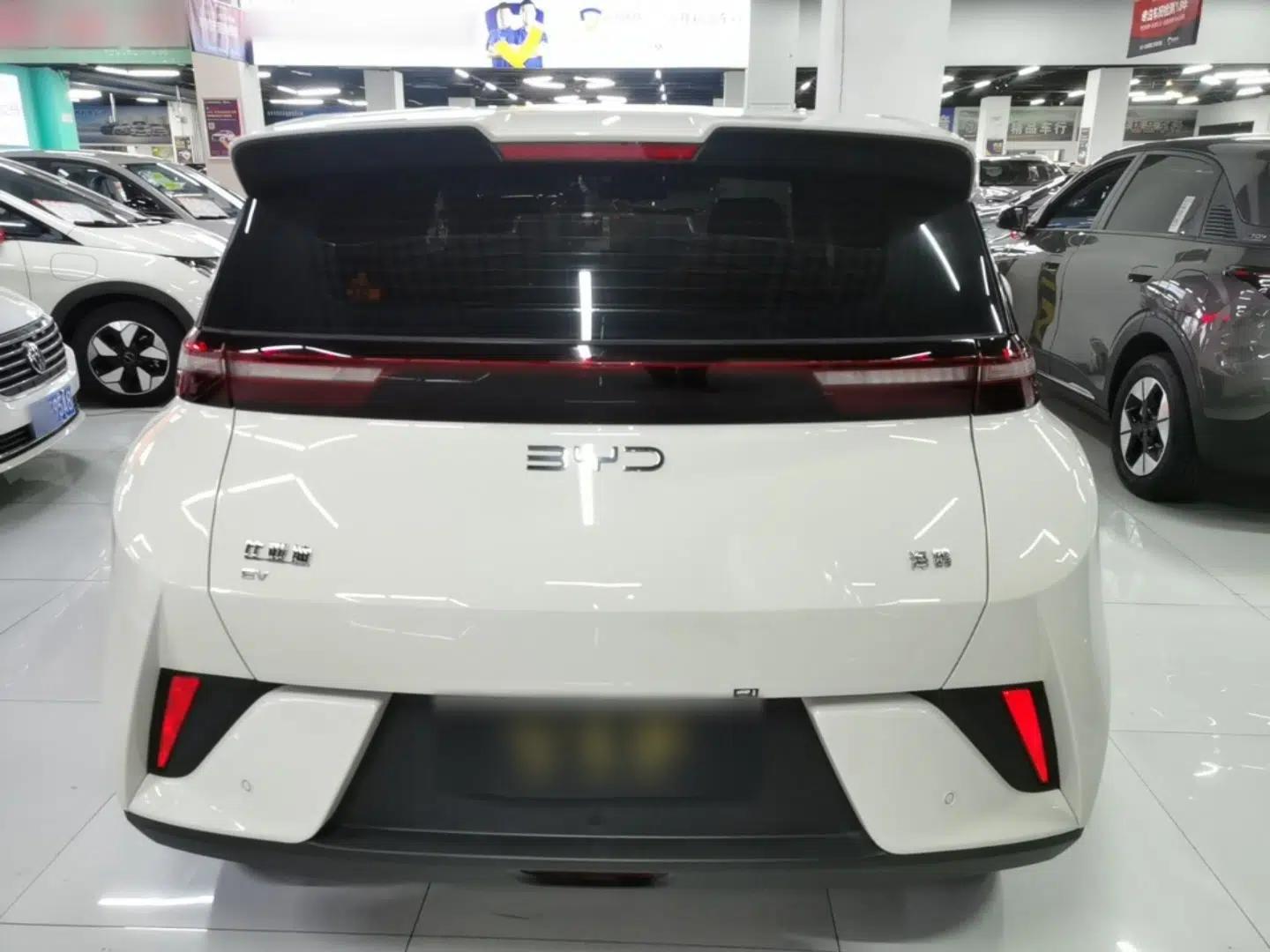 BYD Seagull 2025 Intelligent Driving Version 305 km Dynamic Edition — миниатюра 5