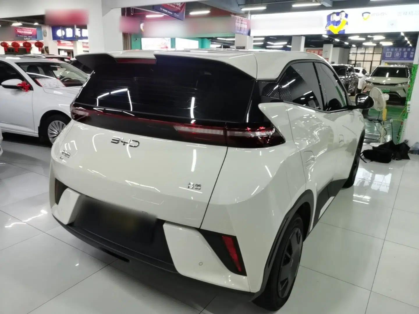 BYD Seagull 2025 Intelligent Driving Version 305 km Dynamic Edition — миниатюра 6