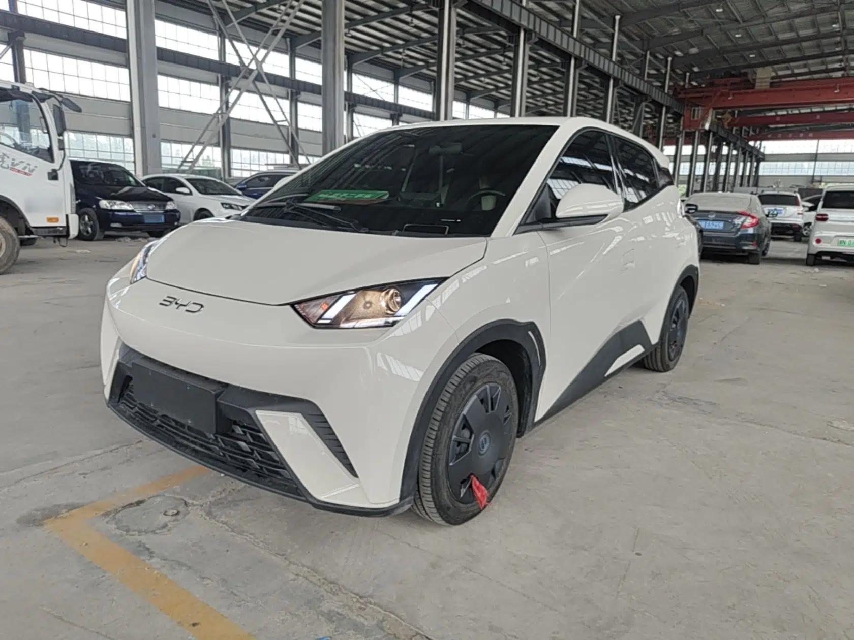 BYD Seagull 2025 305km Active Version — миниатюра 1