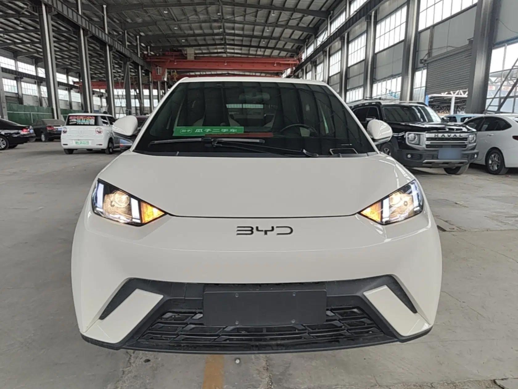 BYD Seagull 2025 305km Active Version — миниатюра 2