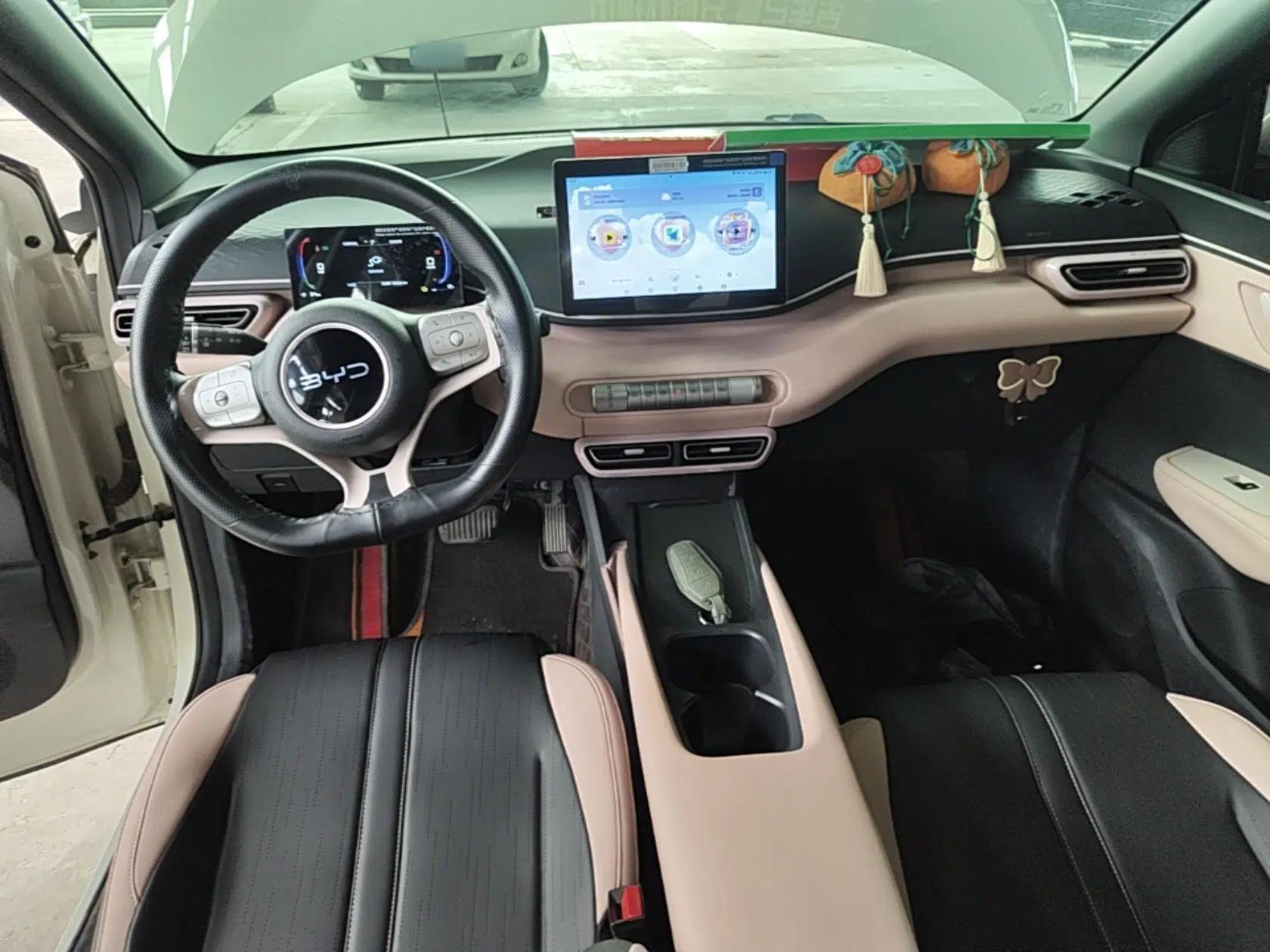 BYD Seagull 2025 305km Active Version — миниатюра 12
