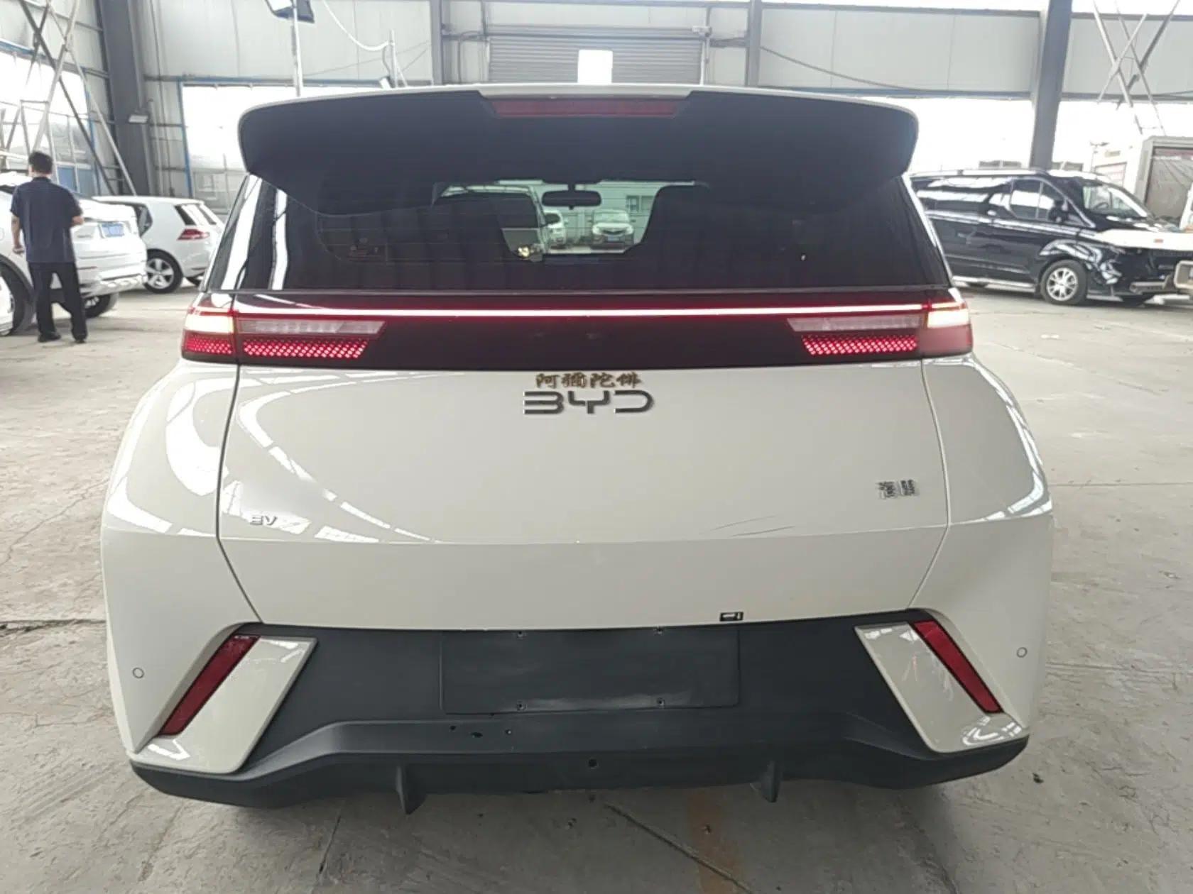 BYD Seagull 2025 305km Active Version — миниатюра 5