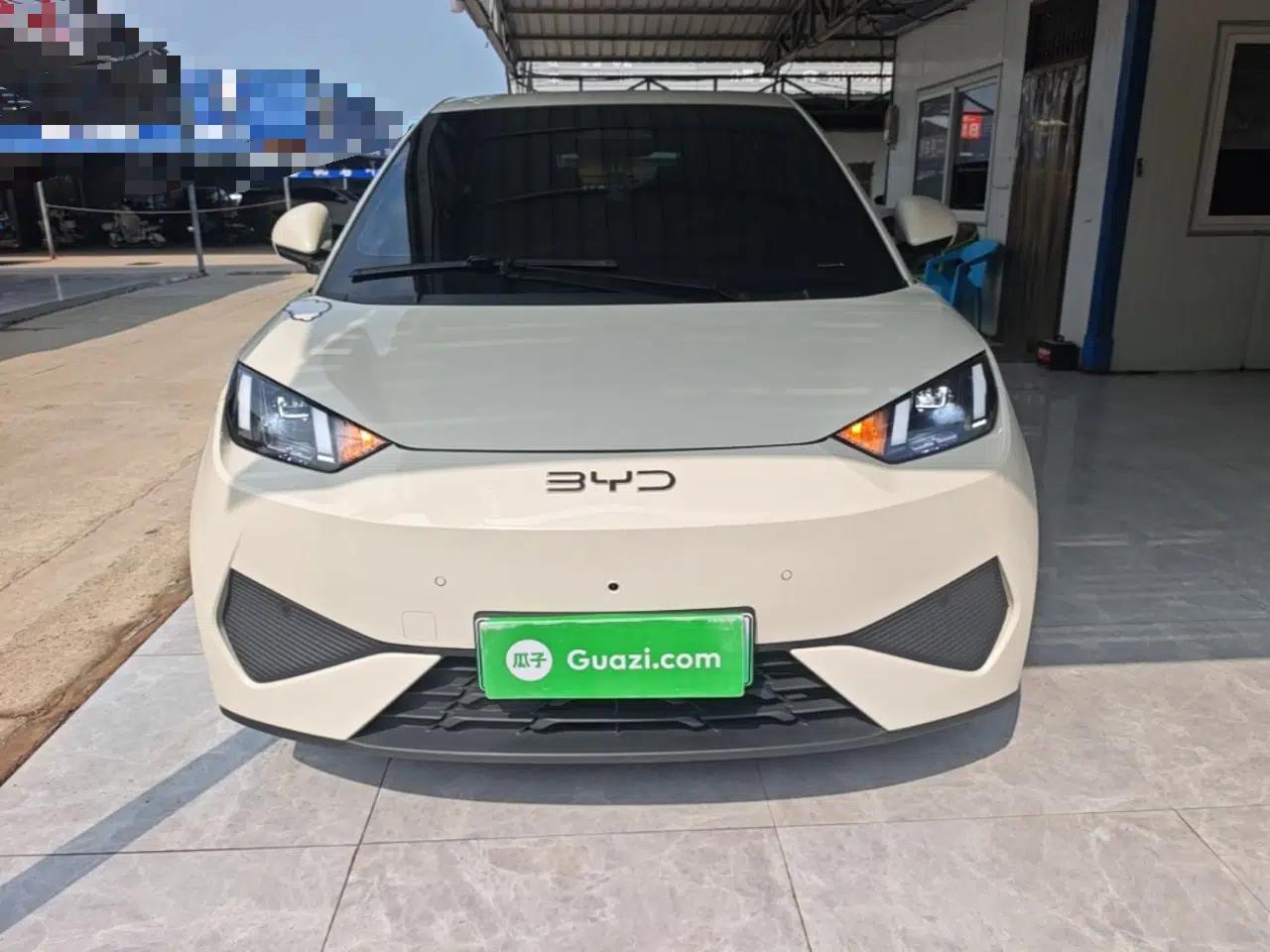 BYD Seagull 2025 Smart Drive Version 305 km Freedom Edition — миниатюра 2