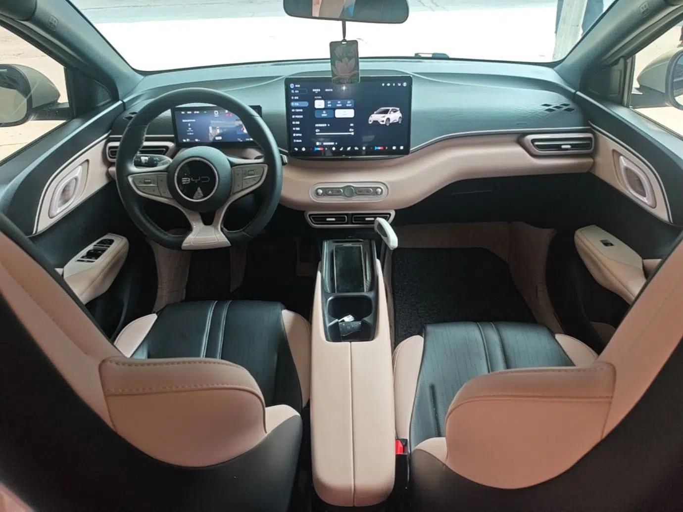 BYD Seagull 2025 Smart Drive Version 305 km Freedom Edition — миниатюра 12