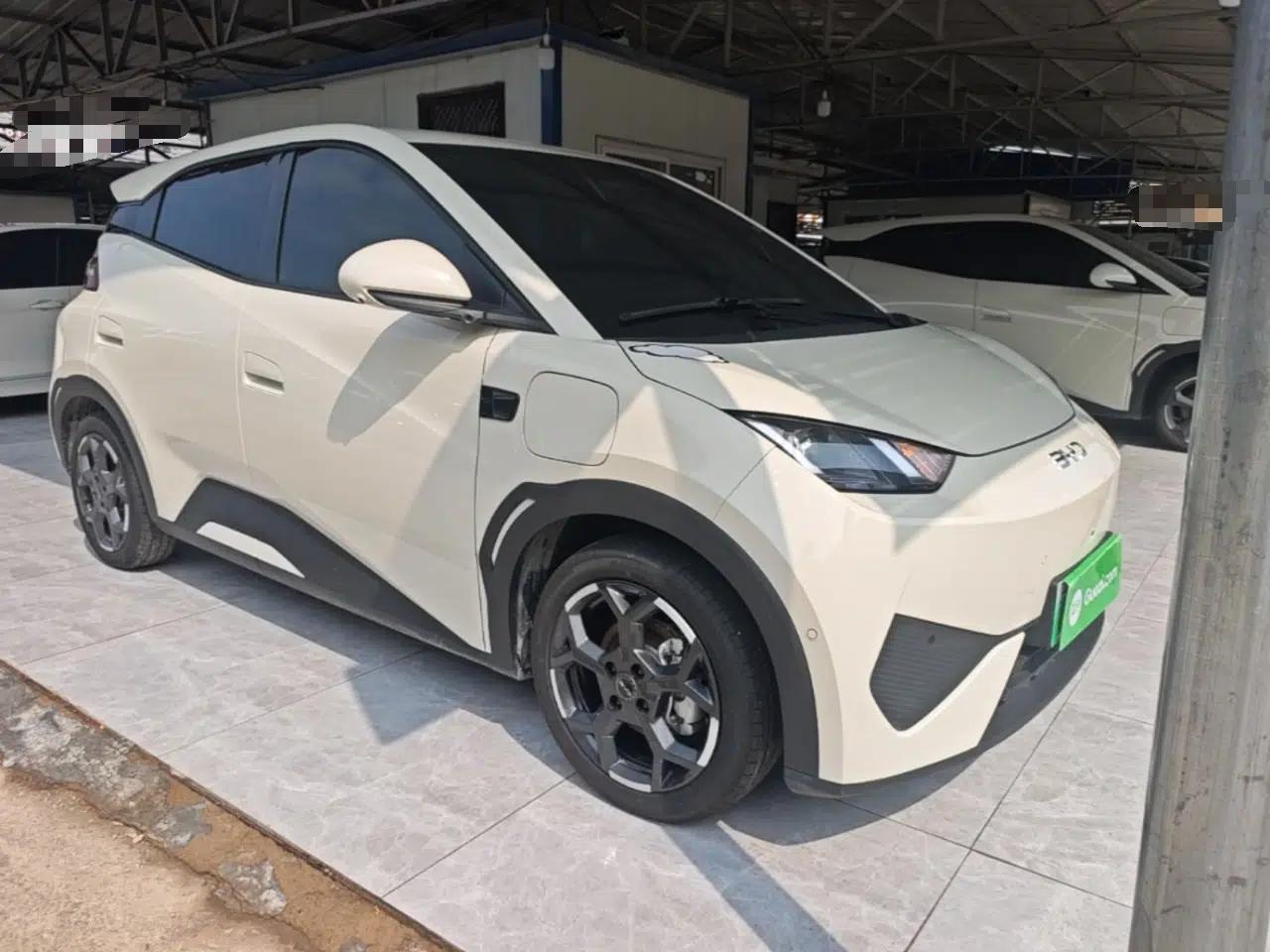 BYD Seagull 2025 Smart Drive Version 305 km Freedom Edition — миниатюра 3